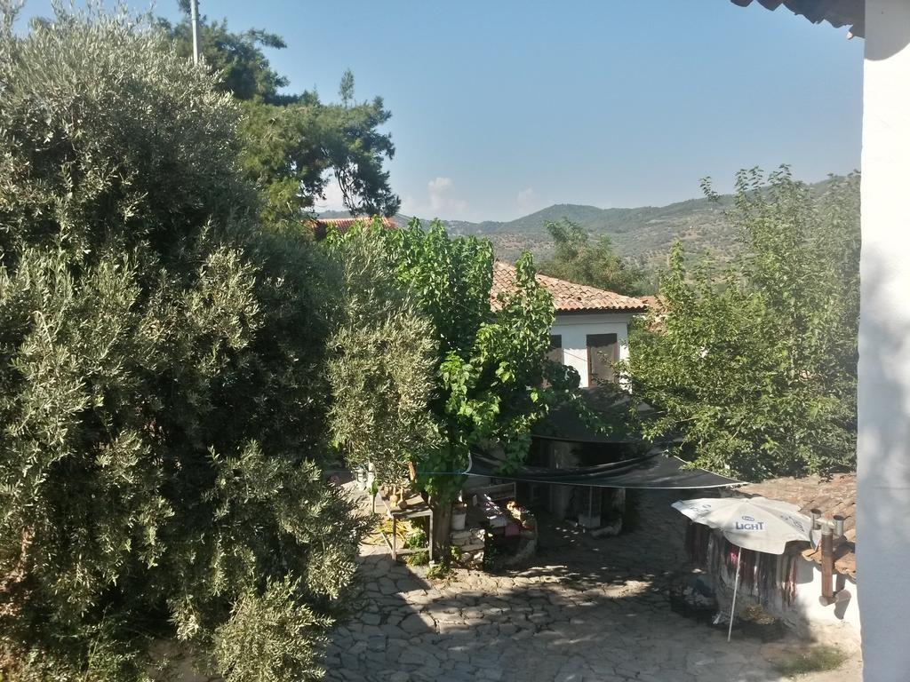 Zeytinli Konak Guest House Selcuk Rom bilde
